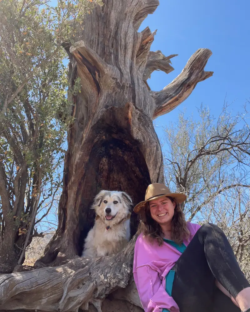 Bailey sitting in a sunlit hollow at the base of an old weathered tree, wearing a straw hat and a pink jacket, with Willow, a big white Great Pyrenees mix, sitting in the hollow beside her.